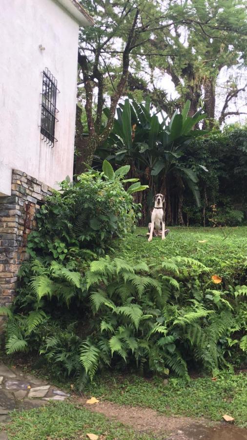 Casa Camino A Las Pozas Xilitla Zewnętrze zdjęcie